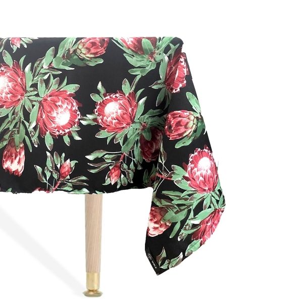 Pink Ice Protea on Black